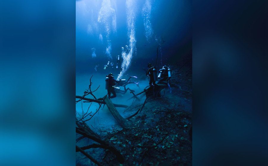 Divers explore an underwater river. 