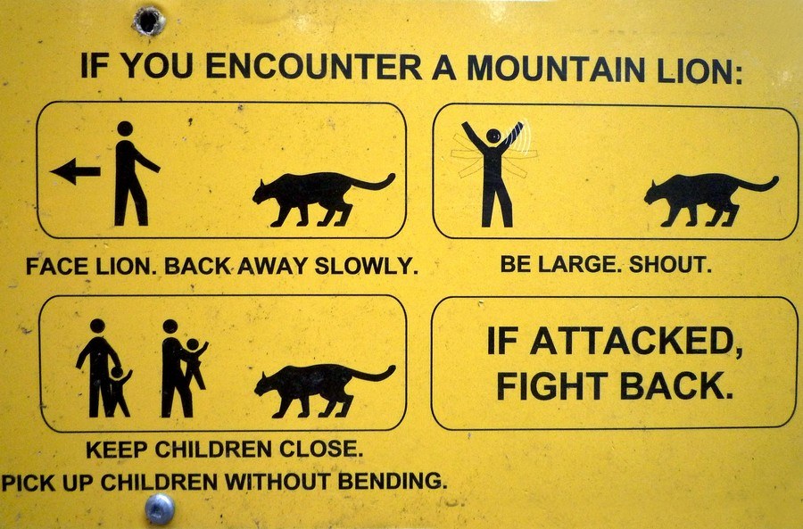 Instructional sign for what to do in case of an attack. 