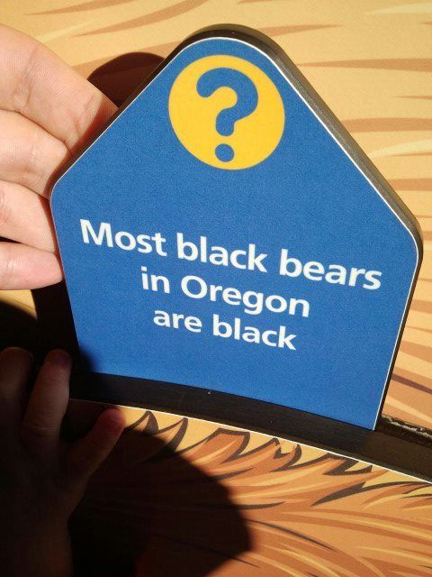 Someone points at a sign about bears. 