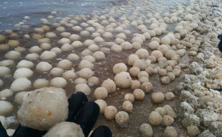 Snowballs are washed up along the beach. 