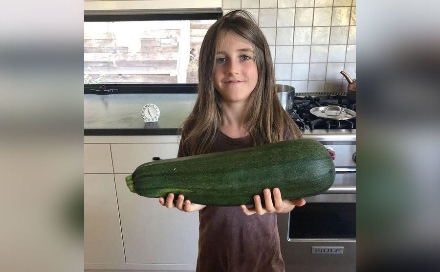 Bear is holding a large zucchini. 